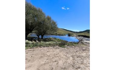 Campo Río de Los Sauces