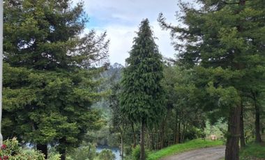 Casa en Arriendo en fundo Nueva Braunau llanquihue