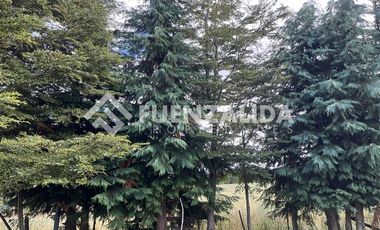 Sitio en Venta en San Carlos El Ñady sin número Los Muermos