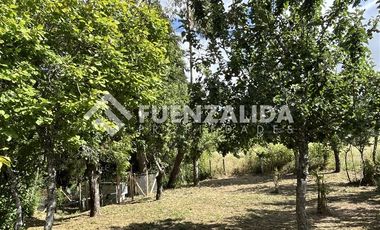 Sitio en Venta en San Carlos El Ñady sin número Los Muermos