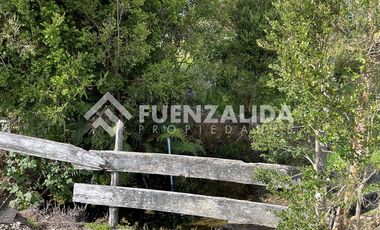 Sitio en Venta en San Carlos El Ñady sin número Los Muermos