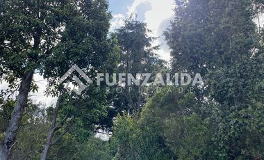 Sitio en Venta en San Carlos El Ñady sin número Los Muermos