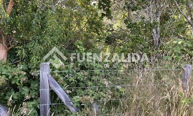 Sitio en Venta en San Carlos El Ñady sin número Los Muermos