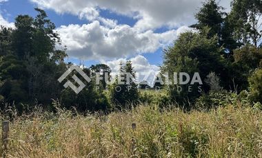 Sitio en Venta en San Carlos El Ñady sin número Los Muermos