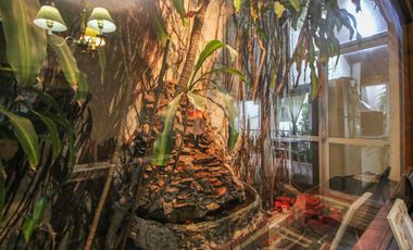 VENTA CASA 5AMB BECCAR CON PILETA