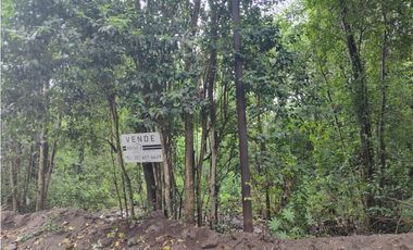 VENDO LOTES EN LA GRANJA