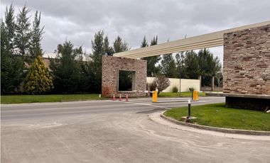 PROYECTO CORTADERAS III