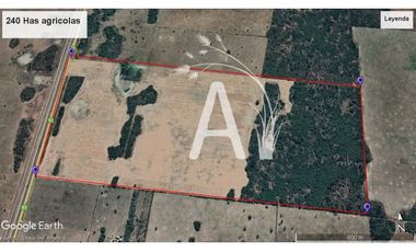 VENDO 225 HAS AGRICOLAS - SANTA MARGARITA