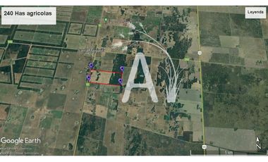 VENDO 225 HAS AGRICOLAS - SANTA MARGARITA