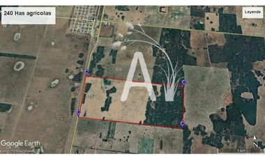 VENDO 225 HAS AGRICOLAS - SANTA MARGARITA