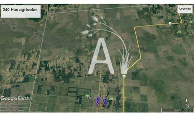 VENDO 225 HAS AGRICOLAS - SANTA MARGARITA