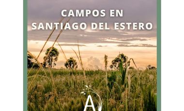 VENDO 4011 HAS. DE CAMPO EN OJO DE AGUA - SANTIAGO DEL ESTERO