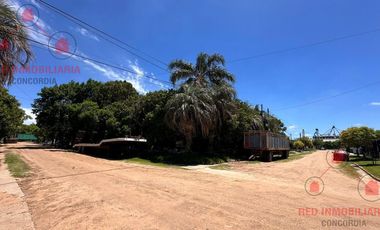 villa adela el martillo