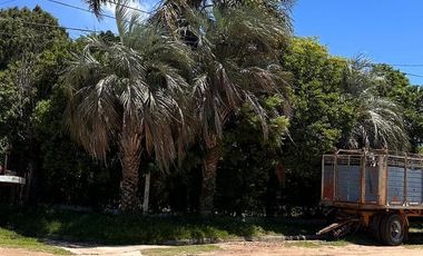 villa adela el martillo