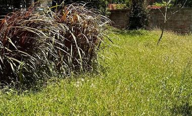 villa adela el martillo