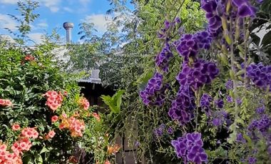 Boulogne - Luminoso PH Planta Baja 3 amb con amplio jardín!!