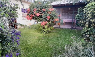 Boulogne - Luminoso PH Planta Baja 3 amb con amplio jardín!!