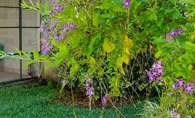 Boulogne - Luminoso PH Planta Baja 3 amb con amplio jardín!!