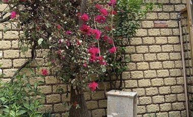 Casa duplex en renta