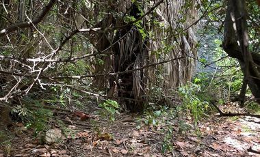 Casa en Lomas de Zamora Oeste