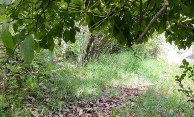 Casa en Lomas de Zamora Oeste