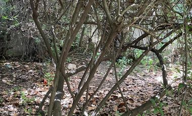 Casa en Lomas de Zamora Oeste