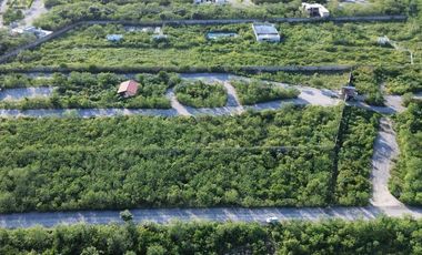 TERRENO EN VENTA OPORTUNIDAD DE INVERSIÓN YUCATAN