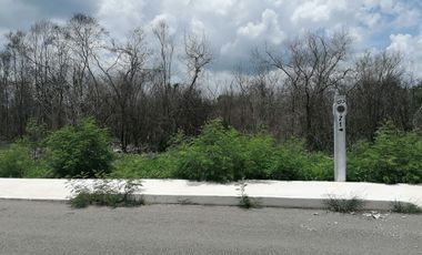 TERRENO EN VENTA EN SIERRA PAPACAL, MERIDA YUCATAN