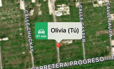 TERRENO DE PLAYA EN VENTA MERIDA DZEMUL YUCATAN