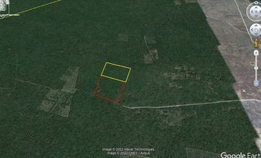 TERRENO  MACROLOTE EN VENTA YUCATAN RUSTICO PARA INVERSION EN SINANCHE