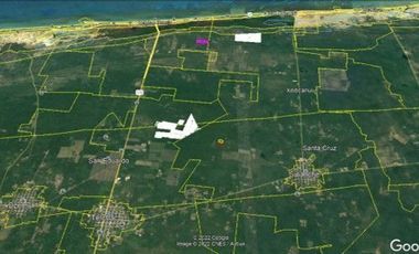 TERRENO  MACROLOTE EN VENTA YUCATAN RUSTICO PARA INVERSION EN SINANCHE
