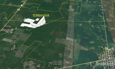 TERRENO  MACROLOTE EN VENTA YUCATAN RUSTICO PARA INVERSION EN SINANCHE