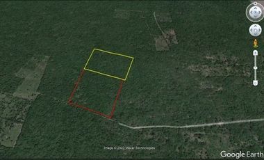 TERRENO  MACROLOTE EN VENTA YUCATAN RUSTICO PARA INVERSION EN SINANCHE