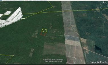 TERRENO  MACROLOTE EN VENTA YUCATAN RUSTICO PARA INVERSION EN SINANCHE