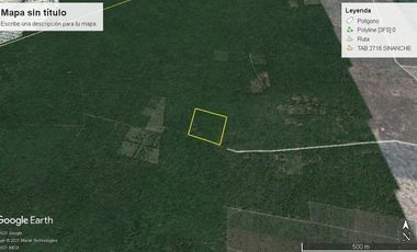 TERRENO  MACROLOTE EN VENTA YUCATAN RUSTICO PARA INVERSION EN SINANCHE