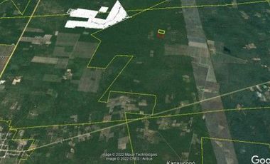 TERRENO  MACROLOTE EN VENTA YUCATAN RUSTICO PARA INVERSION EN SINANCHE