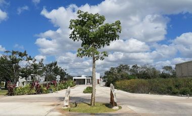 TERRENO EN VENTA MERIDA PRIVADA RESIDENCIAL TAMORA CONKAL