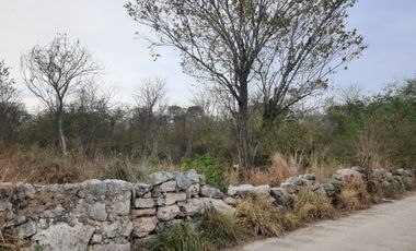 TERRENO EN VENTA CONKAL MERIDA YUCATAN