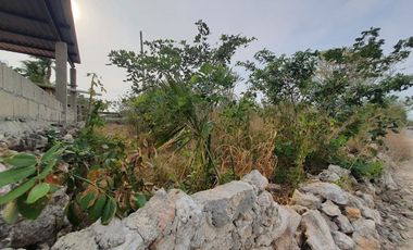 TERRENO EN VENTA CONKAL MERIDA YUCATAN