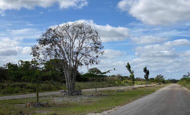 TERRENOS EN VENTA MERIDA URBANIZADOS EXCELENTE OPORTUNIDAD CHICXULUB