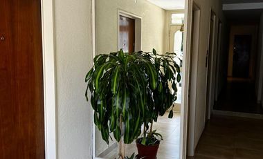 Alquiler Departamento de 2 ambientes en Saavedra