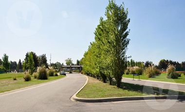 Lote a pulmón verde en venta - Barrio La Horqueta de Echeverría, Canning