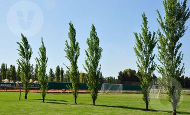 Lote a pulmón verde en venta - Barrio La Horqueta de Echeverría, Canning