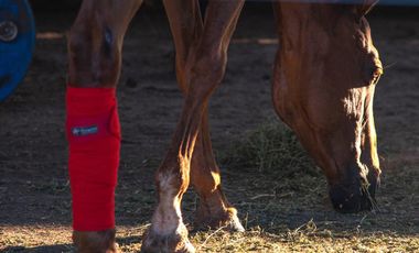 TERRENO VENTA 1.036 MTS2 LA RINCONADA IBARLUCEA