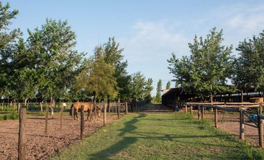 TERRENO VENTA 1.036 MTS2 LA RINCONADA IBARLUCEA