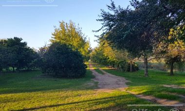 Chacra en venta de 32 has en San Pedro, con produccion de Kiwi