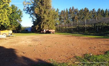 Chacra en venta de 32 has en San Pedro, con produccion de Kiwi