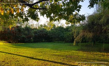 Chacra en venta de 32 has en San Pedro, con produccion de Kiwi