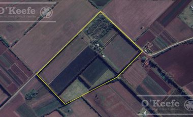 Chacra en venta de 32 has en San Pedro, con produccion de Kiwi