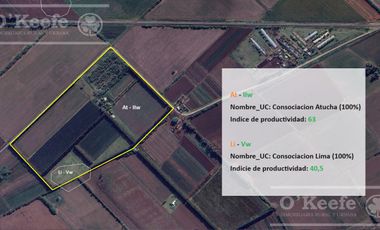 Chacra en venta de 32 has en San Pedro, con produccion de Kiwi